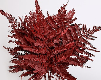 Preserved Real Fern Stems: Red Stabilized Ferns, DIY Crafts