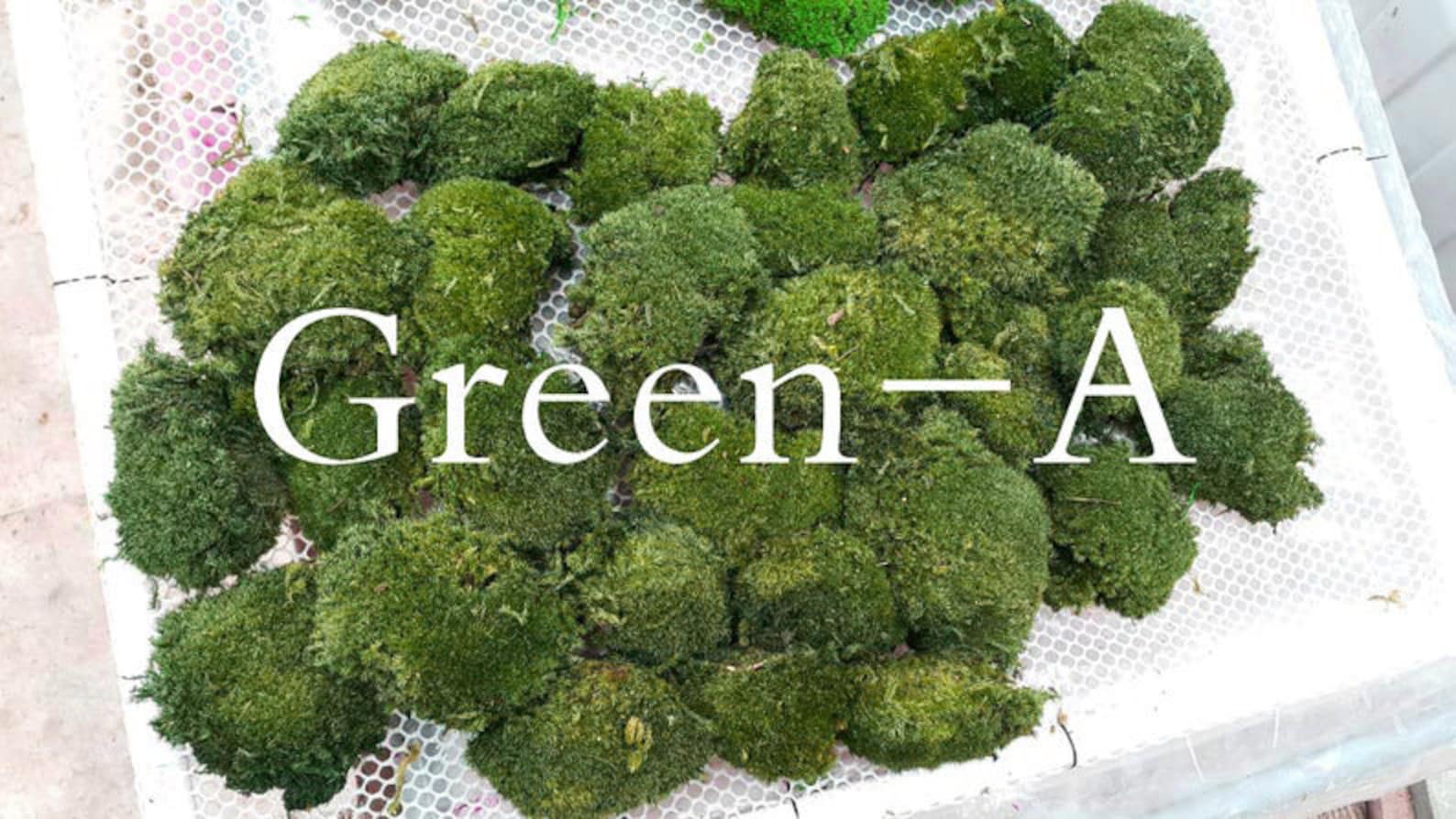 Preserved Pole Moss Pillow Moss Bun Moss Cushion Moss Natural Etsy