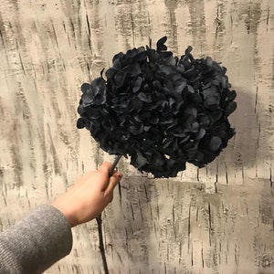 Diy artesanato estabilizado preservado hortênsia preta guirlandas de casamento decorações para casa buquês arranjos de flores pendurado na parede seca
