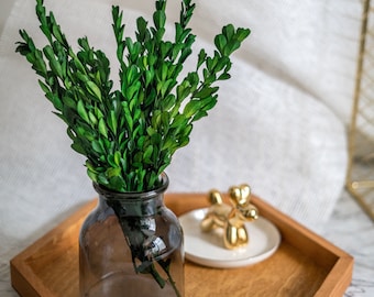 Preserved DIY Crafts Stabilized Boxwood Leaves Tall Wedding Garlands Home Decorations Bouquets Flower Arrangements Wall Hanging Dried