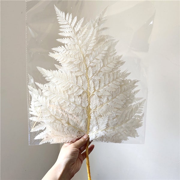 Prefleur DIY Crafts Stabilized Preserved Real White Ferns Stems Wedding Garlands Home Decorations Bouquets Flower Arrangements Dried