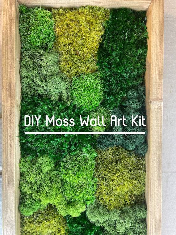 Sheet Flat Moss Stabilized Craft DIY Gardening Prefleur Wholesale