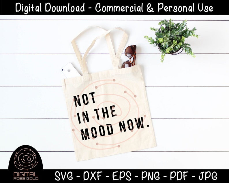 Not In The Mood Now Sarcastic SVG, Bad Mood SVG, funny moody printable, Cricut or Silhouette SVG Files, Personal or Commercial Use image 3