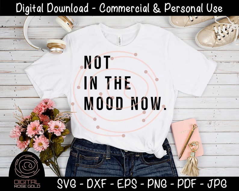 Not In The Mood Now Sarcastic SVG, Bad Mood SVG, funny moody printable, Cricut or Silhouette SVG Files, Personal or Commercial Use image 2