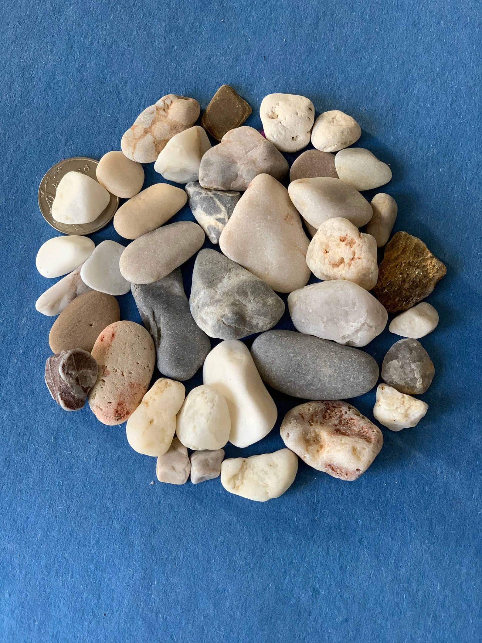 Sea stones sea pebbles. material for craft aquarium Etsy