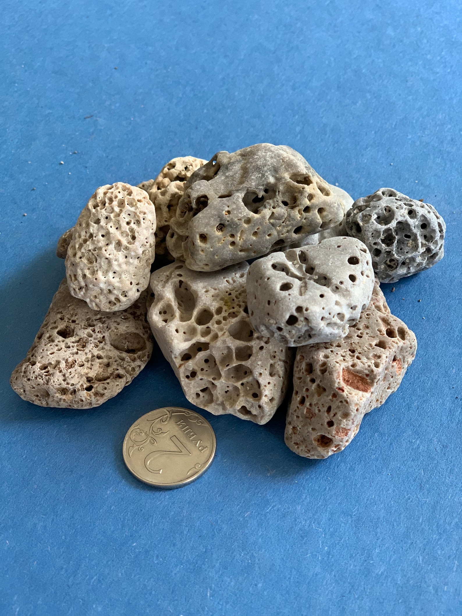Sea Stones Porous Sea Rocks Porous Marine Pebbles Aquarium Etsy
