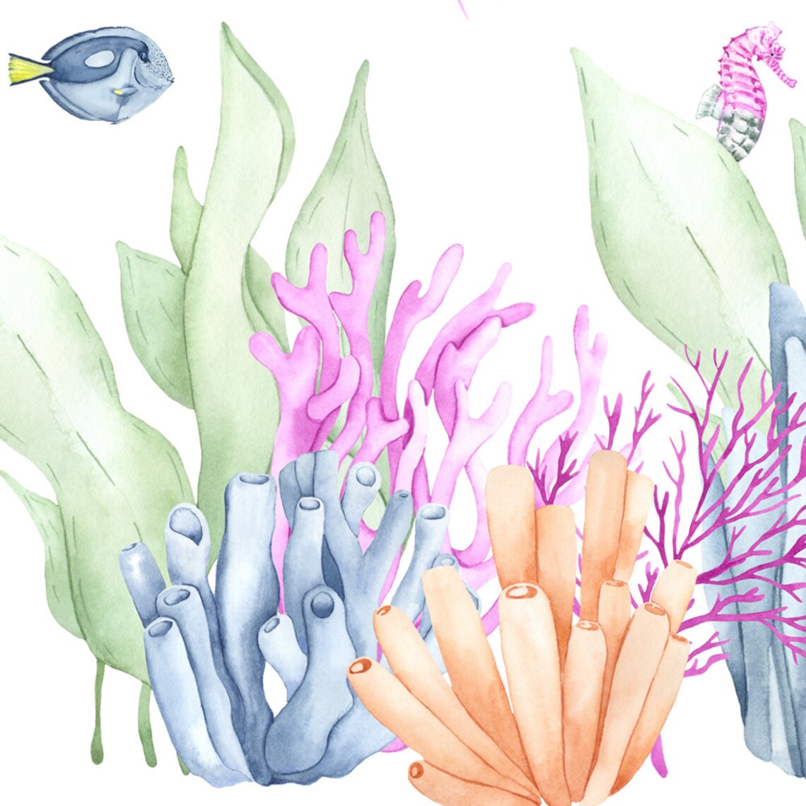 Seabed watercolor clipart Underwater world Marine elements Etsy