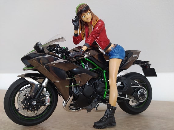 Built Kawasaki Ninja H2 Motorbike Biker 