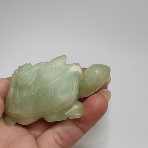 Può includere: Una piccola statuetta di tartaruga in giada verde. La tartaruga è scolpita con dettagli intricati e ha una finitura liscia e lucida.