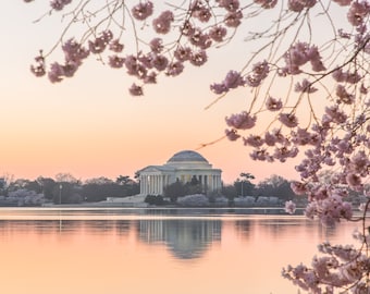 Cherry Blossom Print, fine art print of an American landscape