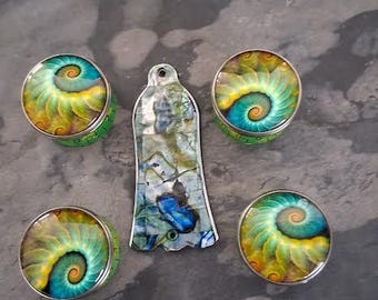 Perilla de control de velocidad y cubiertas de armadura de Guitar Custom Ltd Custom - Nautilus y Faux Abalone TC @ Custom Ltd Ed.
