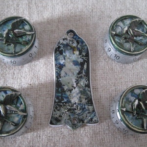 Puede incluir: Cuatro botones plateados y verdes con un diseño de pájaro y los números del 1 al 10. Una placa de protección de guitarra plateada y verde con un diseño de mármol.