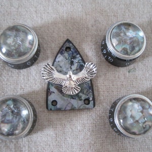 Peut inclure: Cinq boutons noirs et argentés avec un motif d'oiseau argenté au centre. Les boutons sont numérotés et servent à accorder une guitare.