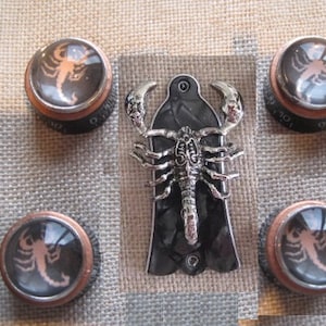 Könnte beinhalten: Fünf Gitarrenknöpfe mit einem Skorpion-Design. Die Knöpfe sind silberfarben mit einer durchsichtigen Glasoberfläche und einem schwarzen Sockel. Der Skorpion ist ein silberfarbenes Metalldesign.