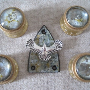 May include: Five gold knobs with clear glass inserts and a silver bird charm. The knobs have numbers 10, 7, 6, 5, and 4 printed on them.