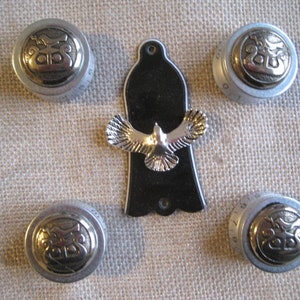 Könnte beinhalten: Vier silberne Gitarrenknöpfe mit einem goldenen Adler-Design und ein schwarzes Gitarren-Pickguard mit einem silbernen Adler-Design.