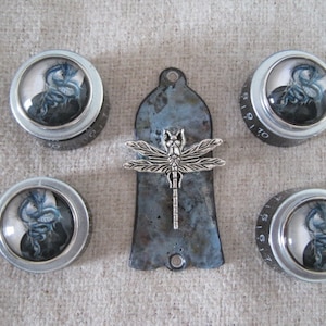 May include: Five silver knobs with black numbers and a dragonfly design. Each knob features a clear glass dome with a black and blue dragon illustration.