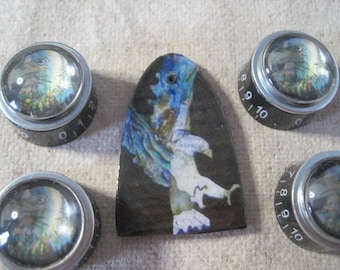 Guitar Custom Ltd Editions. Control Knobs & Truss Cover PRS Style Custom -  Eagle Set - A Custom Ltd Edition
