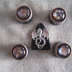 Könnte beinhalten: Fünf Knöpfe mit einem silbernen Drachenmotiv in der Mitte. Die Knöpfe sind schwarz mit einem kupfernen Ring am Rand. Die Knöpfe haben eine durchsichtige Oberseite mit einem glitzernden, mehrfarbigen Design.
