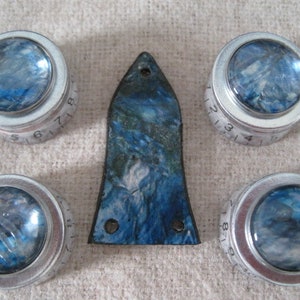 Guitar Custom Ltd Edition. Control Knobs & Truss Covers Custom - Shell and Seaweed   Set . . A Custom Ltd Edition.