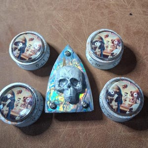 May include: A collection of decorative knobs and a central triangular piece, all featuring a skull motif. The knobs are white with a circular image under a glass dome. The central piece has a gray skull on an iridescent background.