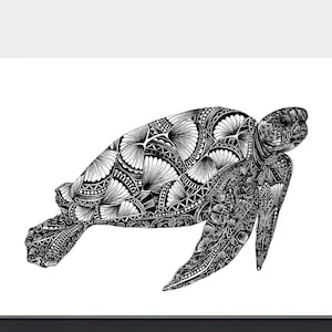 Turtle Card, Animal Card, Blank Card, Eco Friendly Card, Hand Drawn Wildlife Card