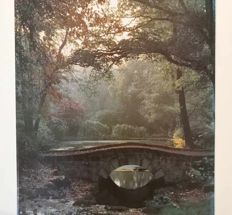 May include: A stone bridge with a rounded archway over a small stream in a misty forest setting. The bridge is made of rough-hewn stones and has a rustic appearance. The stream is clear and shallow, and the water is flowing gently over the rocks. The forest is dense and lush, with tall trees and thick foliage. The air is filled with a soft, ethereal mist.
