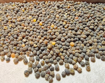 Natural Baltic Amber Loose Natural Baltic Amber Beads 5-6mm Raw Dark Green 100gr