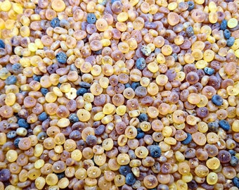 70-560 pcs Baltic Amber Loose/  Natural Baltic Amber / FLAT  Amber beads/ beads 4.5 - 6mm / Raw Mix