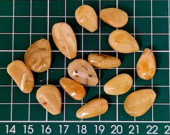 Genuine Natural  baltic amber stones  Yolk 14pcs #379