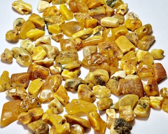Genuine Natural  baltic amber stones  Yolk Dark 20pcs #358