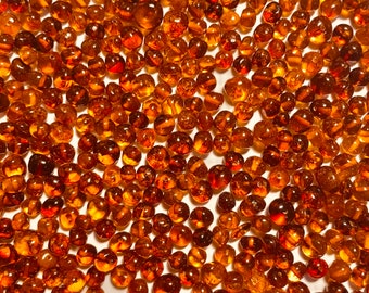 310 pcs Baltic Amber Loose/  Natural Baltic Amber / Amber beads/ beads 6 - 7.5mm / Cognoc #340