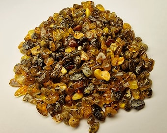 Amber Chips
