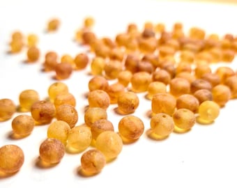 70-560pcs Raw Baltic Amber Loose Natural Baltic Amber Beads Cognac/honey #0165