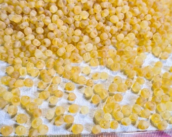 Natural baltic amber loose amber beads 100pcs  RAw Lemon