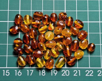 40 pcs Baltic Amber Loose Natural Baltic Amber  Cognoc/Lemon Olive Beads  #368