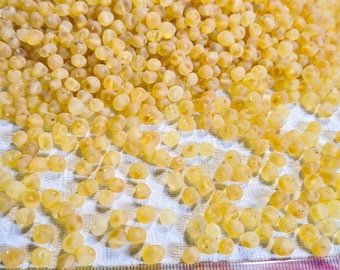 Natural baltic amber loose amber beads 70-560pcs  RAw Lemon