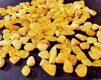 100 pcs Baltic Amber Loose Natural Baltic Amber Beads Yolk