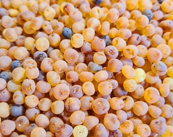 40-80 pcs Baltic Amber Loose/  Natural Baltic Amber / Amber beads/ beads 6-7.5mm / Raw Mix