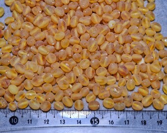 25-50 pcs Baltic Amber Loose/  Natural Baltic Amber / Amber beads/ Olive / Olive beads 4.5-6 / Raw Honey/  #0292