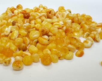 50pcs Baltic Amber Loose Natural Baltic Amber Beads  FLAT Yolk