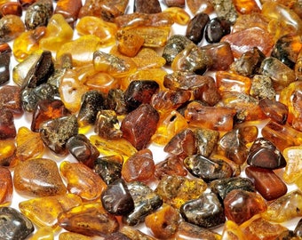 Genuine Natural  baltic amber stones Dark Mix  20pcs #354