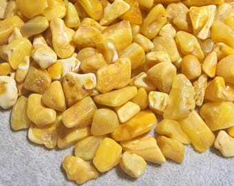25gr Baltic Amber Loose Natural Baltic Amber  Beads  Yolk