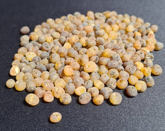70-560pcs Baltic Amber Loose Natural Baltic Amber Beads RAW MIX