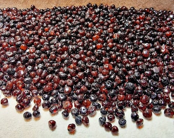 Natural Baltic Amber Loose Natural Baltic Amber Beads 5-6mm Dark Cognoc/Rubin 100gr