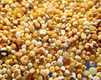 100 pcs Baltic Amber Loose/  Natural Baltic Amber / Amber beads/ beads 4-5mm / Raw Yolk