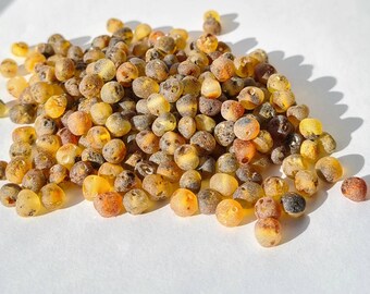 70-560pcs Baltic Amber Loose Natural Baltic Amber Beads  Raw