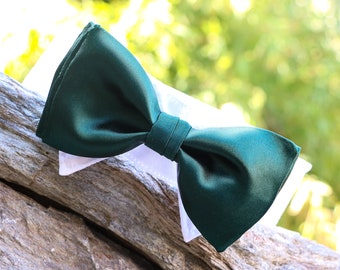 Gravata borboleta verde para cachorro | Coleira para cachorro de casamento com gravata borboleta | Coleira de gravata borboleta | Com fecho de velcro | Outras cores disponíveis