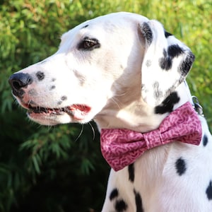 Pink dog bow tie made of cotton fabric with floral print for attachment to your dog collar