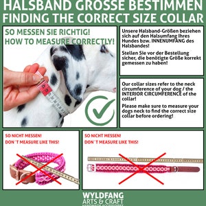 Emmalove Anti-Bell Halsband 2.0 - Wasserdichtes Hundetraining Für Kleine & Große Hunde